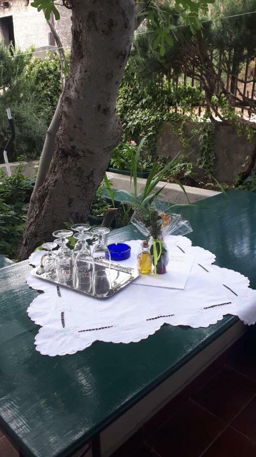 Luminaria Solis Vacation Home روغوزنيكا المظهر الخارجي الصورة